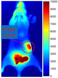 Gold Nanoparticles from Nanopartz - High Quality and in vivo Versatile Applications